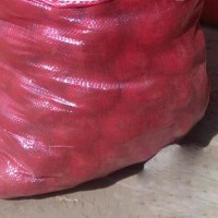 sell 30kg violet garlic mesh bags size 50x80cm