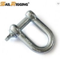 European Type Galvanized Alloy steel D shackle