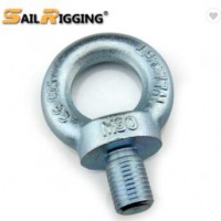 C15 m10 drop forged din580 lifting eye bolt