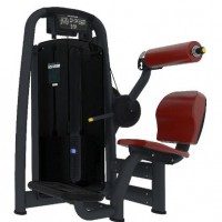 Factory Support Fitness Equipment Pin Loaded Back Extension Gym Machine