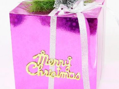 Chinese Suppliers High Quality Small Christmas Packaging Paper Gift Box