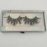 hot sale wholesale private label customo logo plastic clear black eyelash