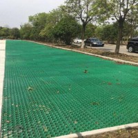 HDPE Plastic Grass Paver for parking lot