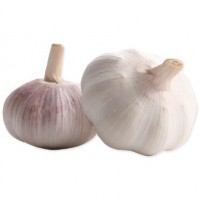 Organic Fresh White Garlic 3P 4P 5P Pure white garlic