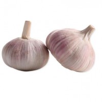 Organic Fresh White Garlic 3P 4P 5P Per Net garlic