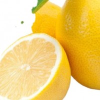 Fresh Lemon from China