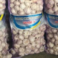 China/Chinese Normal White Fresh Garlic New Crop