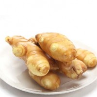 Supply Organic fresh Ginger