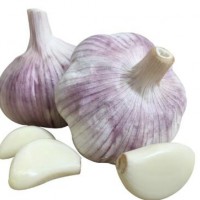 Wholesale Garlic From China Garlic Current