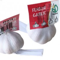 Best quality bulk pure fresh normal white garlic