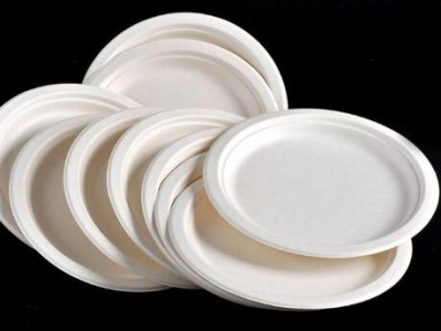 High quality disposable paper plate for animal crafts