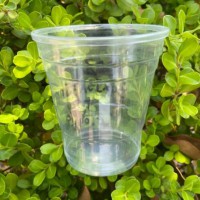 10oz/285ml PP transparent disposable plastic juice/coffee cup