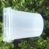 200ml PP clear disposable plastic beverage cup with PP clear injection lid