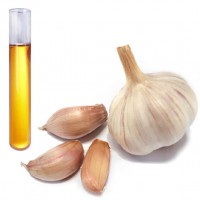 High Quality Odorless Garlic Oil Capsules Wholesale Garlic Price