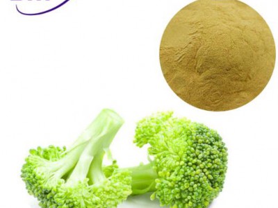 BNP manufacturer supply high quality Broccoli Extract Powder