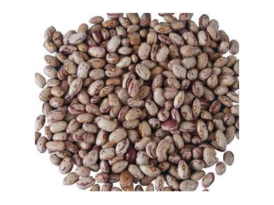 White Kidney Bean In 180-200