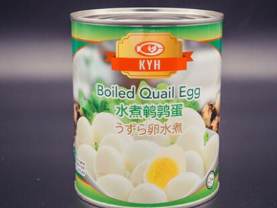 canned quail eggs in brine with competitive price Whatsapp:+86 189 5405 8084