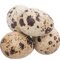 425G Canned boiled quail eggs - Quail eggs without shell