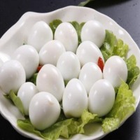 Canned quail egg packaging in carton