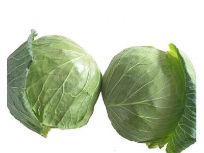 High quality fresh fresh vegetables cabbage