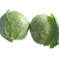 High quality fresh fresh vegetables cabbage