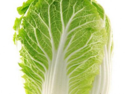 High quality Fresh Chinese cabbage