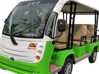 11 seater electric sightseeing buses