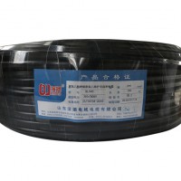 BLVVB300500V aluminum core PVC insulated PVC sheathed flat wire