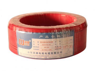 BV450750V copper core PVC insulated fixed cloth wire