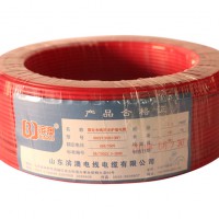 BV450750V copper core PVC insulated fixed cloth wire