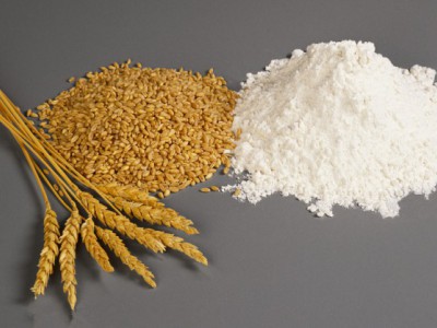 Wheat protein