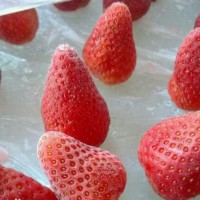 Freeze-dried strawberry cubes