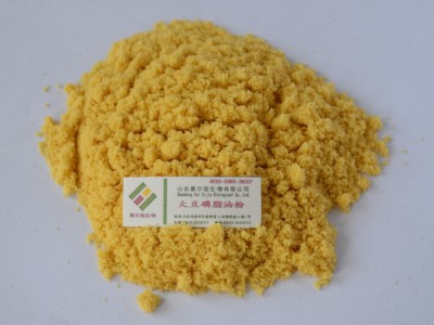 Soybean Lecithin Oil Powder