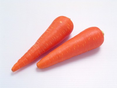 Chinese New Crop Red Carrot Fresh and clean water washed Carrots