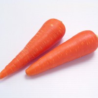 Chinese New Crop Red Carrot Fresh and clean water washed Carrots
