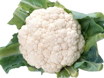 Fresh vegetable cauliflower and frozen cauliflower fresh cauliflower