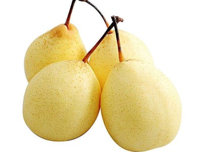 China High Quality Fresh Fruit Sweet Crown Pear green pear