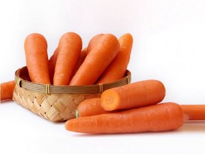 China best sale export quality fresh carrot