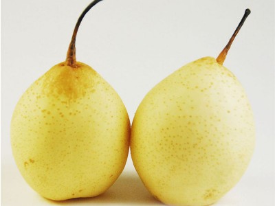 New crop Chinese Fresh Asian pear price