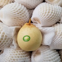 Fresh Lemon from China